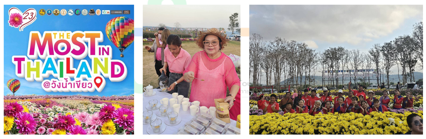 tftta presentation (11) (1)