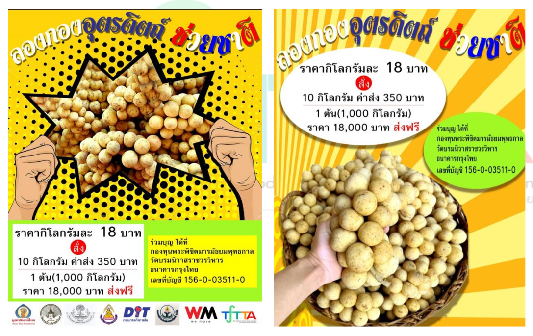 tftta presentation (2) (1)