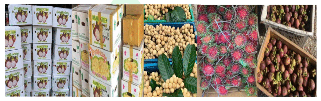 screenshot 2025 11 07 172509